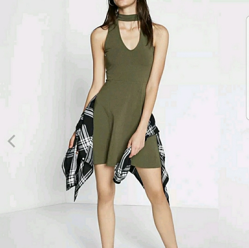 Express Fit and Flare Dress NWT